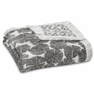Aden + Anais Silky Soft Dream Blanket
